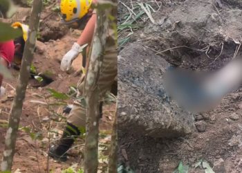 Homem some, família inicia buscas e encontra corpo em cova rasa na zona centro-sul de Manaus