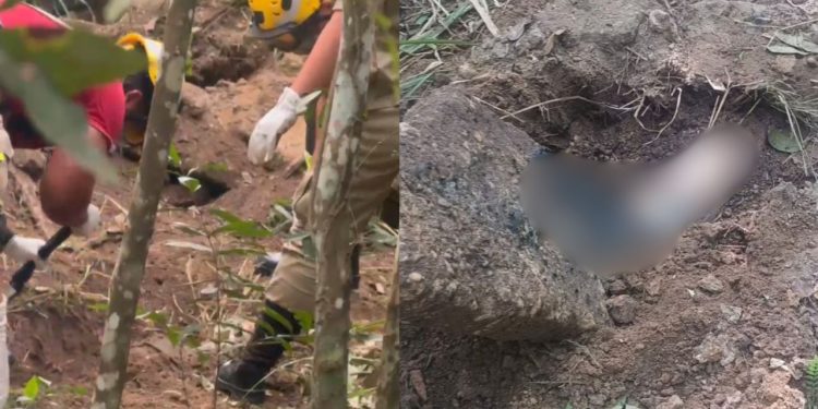 Homem some, família inicia buscas e encontra corpo em cova rasa na zona centro-sul de Manaus