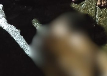 Com f4cada no tórax, homem é encontrado sem vida em Tefé