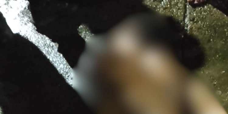 Com f4cada no tórax, homem é encontrado sem vida em Tefé
