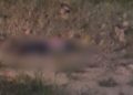 Homem é achado sem vida após tir0s em trecho da BR-174