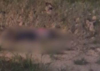 Homem é achado sem vida após tir0s em trecho da BR-174