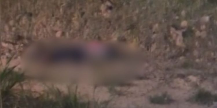 Homem é achado sem vida após tir0s em trecho da BR-174
