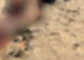 Criminosos chegam para assaltar banhistas e m4tam homem que tentou reagir em Coari