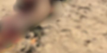 Criminosos chegam para assaltar banhistas e m4tam homem que tentou reagir em Coari