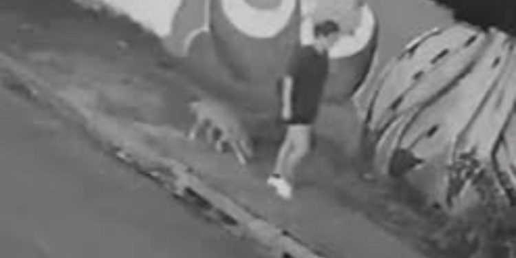 Vídeo: Jovem pisa em tampa solta, cai dentro de bueiro e quebra dentes