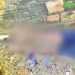 Veja: Homem é m0rt0 com quatro disp4ros e g0lpes de faca no Novo Aleixo