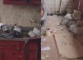 Vídeo: Em meio ao lixo, idosa de 79 anos é resgatada e filho acaba preso em Manaus