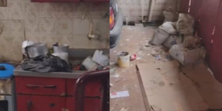 Vídeo: Em meio ao lixo, idosa de 79 anos é resgatada e filho acaba preso em Manaus