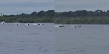 Vídeo mostra competição insana de rabetas no interior do Amazonas