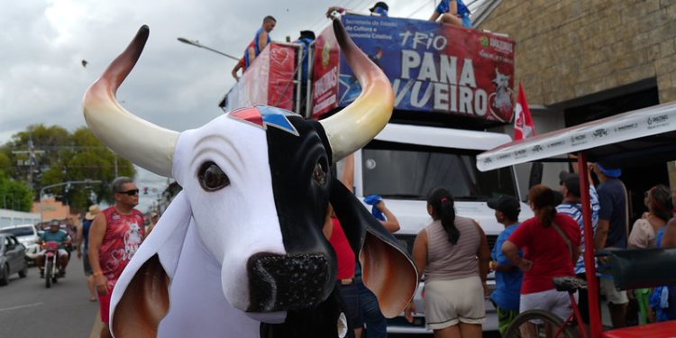 Trio Panavueiro leva ritmo do boi-bumbá às ruas de Parintins a partir desta sexta-feira (26)