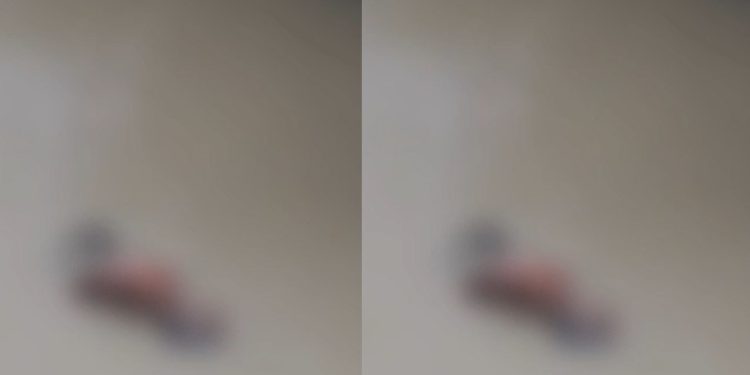 Vídeo: corp0 amarrad0 aparece boiand0 em igarapé no bairro Novo Aleixo