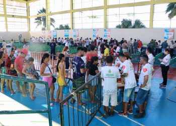 Festival de Parintins 2026: Acesso à Festa dos Visitantes será garantido por doação de alimentos e cadastro com CPF