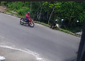 Vídeo: assaltad0 desafia a m0rte e enfrenta crimin0s0s no chão em Manaus
