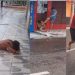 Vídeo: suspeit0 é vi0lentamente espancad0 no interior do Amazonas 