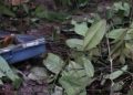 No Distrito 2, corpo de homem é encontrado esqu4rtej4d0 próximo a balneário