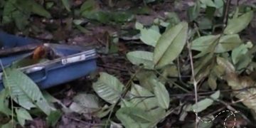 No Distrito 2, corpo de homem é encontrado esqu4rtej4d0 próximo a balneário