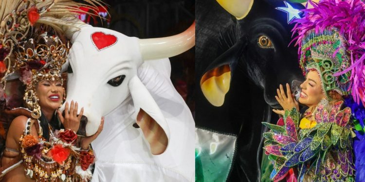 Segunda noite do Festival de Parintins exalta Amazônia e leva criatividade ao Bumbódromo