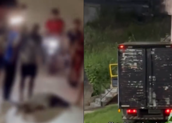 Vídeo: F3rido ao saltar de caminhão em movimento, motorista evita colisão mais gr@ve em Rio Preto da Eva
