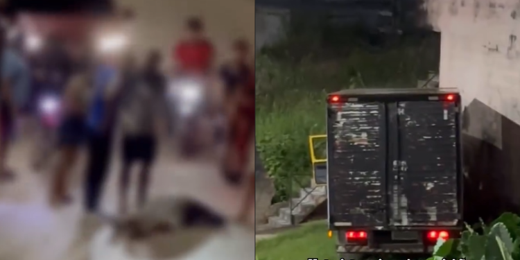 Vídeo: F3rido ao saltar de caminhão em movimento, motorista evita colisão mais gr@ve em Rio Preto da Eva