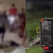 Vídeo: F3rido ao saltar de caminhão em movimento, motorista evita colisão mais gr@ve em Rio Preto da Eva