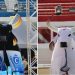 Apuração do 59º Festival de Parintins será após jogo do Brasil, na segunda-feira (29)