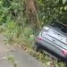 Vídeo: motorista leva fechada de caminhão e vai parar no mato com o carro em Manaus