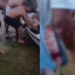 Vídeo: Garoto de 16 anos m0rre af0gad0 e sofre ataqu3 de piranhas em balneário de Coari