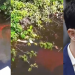 Suspeitos de chac1na no Amazonas apontam integrante da família Coelho Diniz como mandante do cr1me