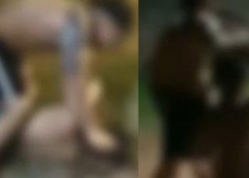 Vídeo:  filhos são espancad0s pelo pai que estava batend0 na esposa