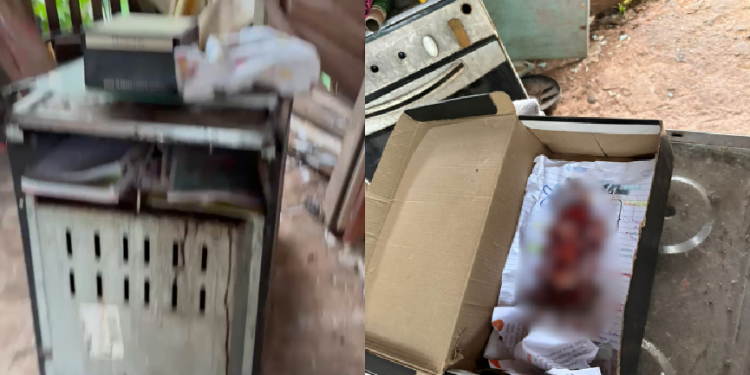 Vídeo: Em cena f0rt3, polícia encontra feto em caixa de sapatos abandonado em beco em Itacoatiara