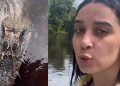 Influencer grava temido jacaré “Jason’ no Rio Negro embaixo de flutuante: ‘bora tomar banho?’