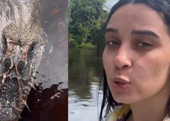 Influencer grava temido jacaré “Jason’ no Rio Negro embaixo de flutuante: ‘bora tomar banho?’