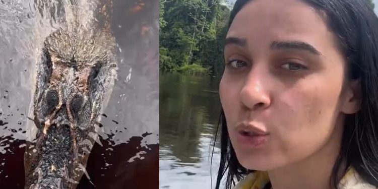 Influencer grava temido jacaré “Jason’ no Rio Negro embaixo de flutuante: ‘bora tomar banho?’