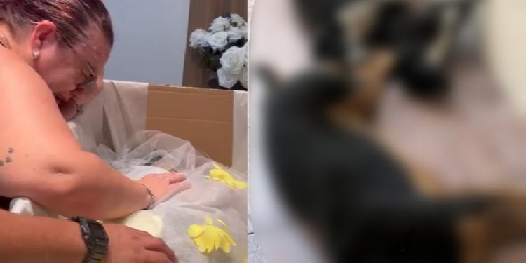 Família pede justiça após três cães serem m0rt0s por envenenamento em Manaus