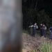 Vídeo: Homem é encontrado def0rmad0 de tanta p0rr@da em área de mata em Tefé