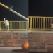 Vídeo: Homem se torna herói ao salvar mulher na Ponte do Rio Negro, em Manaus