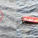 Vídeo: Resgate dramático no Rio Negro salva mulher que se j0g0u da ponte Phelippe Daou em Manaus
