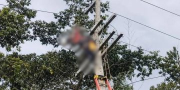 Morte de eletricista na BR-174 leva PC-AM a apurar quem religou energia durante manutenção