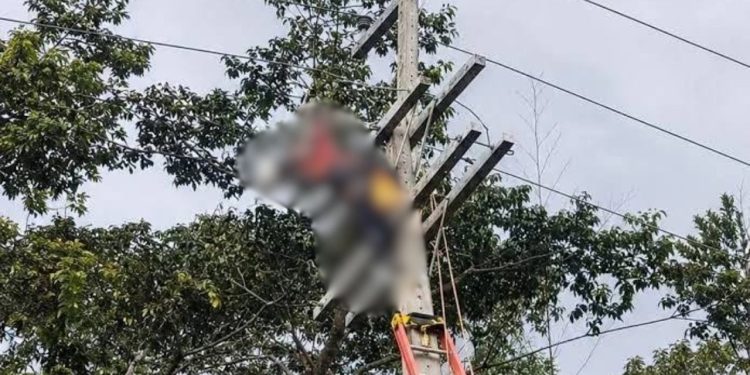 Morte de eletricista na BR-174 leva PC-AM a apurar quem religou energia durante manutenção