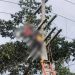 Morte de eletricista na BR-174 leva PC-AM a apurar quem religou energia durante manutenção