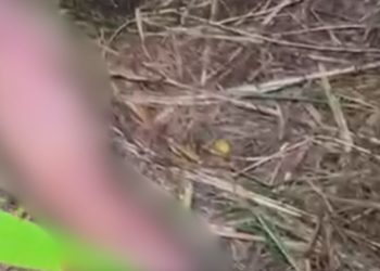 Corpo de homem é encontrado cercado por velas pretas e outros objetos em Manaus