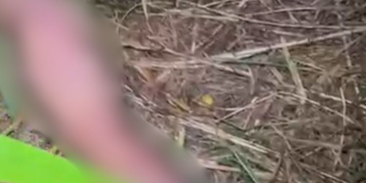 Corpo de homem é encontrado cercado por velas pretas e outros objetos em Manaus