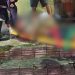 Homem corre ens4nguent4do após ser esf4queado e cai no bairro São José