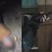Vídeo: Homem é encontrado com sinais de t0rtura após passar pelo ‘tribunal do crime’ em Manaus
