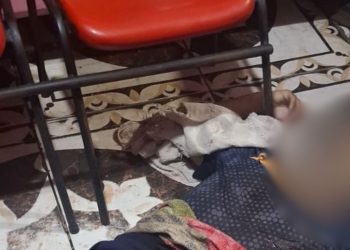 Homem foge de atirad0res, invade comércio da avó, mas é execut4d0 na Compensa; vídeo