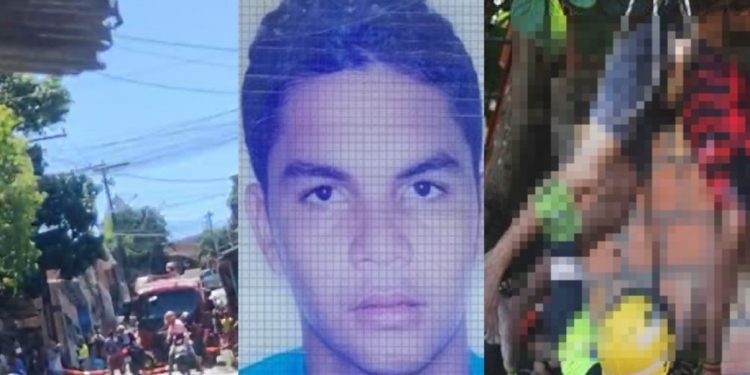 Vídeo forte: homem que m0rreu eletr0cutado ao subir no pé de abacate é identificado 