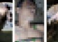 Homem acusado de tentar invadir casa é encontrado m0rt0 em Manaus