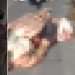 Vídeo forte: acusad0 de roub0 de motos é achado deg0lado na Avenida Pires Franco
