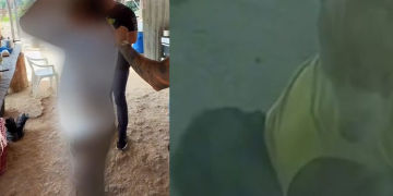 ‘Foi ele que começou a me alisar’, justifica ‘B0ga Nervoso’ ao ser pr3s0 por ter relaçã0 com cão em PF; veja